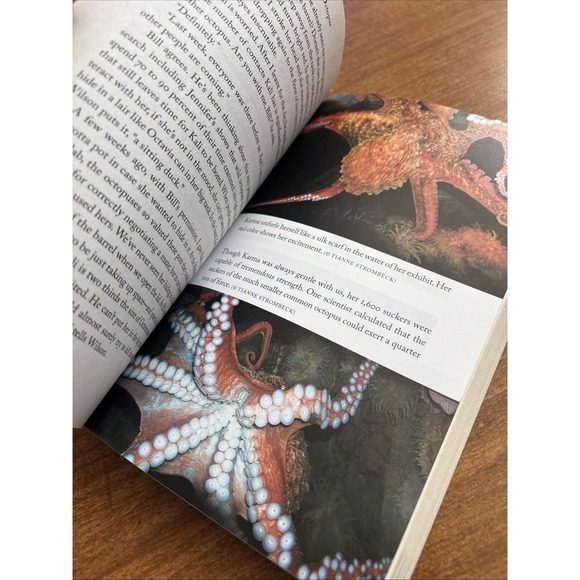 The Soul of an Octopus: A Surprising Exploration into the Wonder of Consciousne - Picture 5 of 6